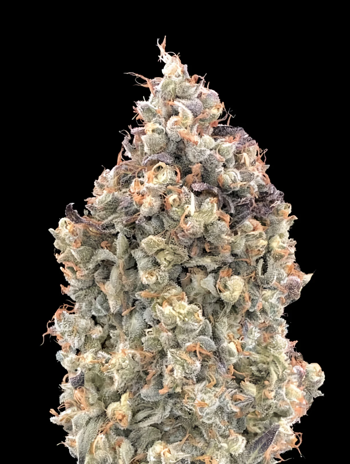 Melon Og