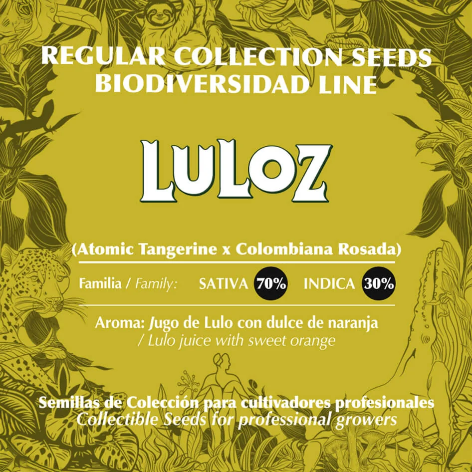 Luloz 2