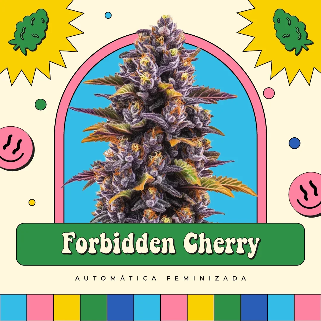 Forbidden Cherry