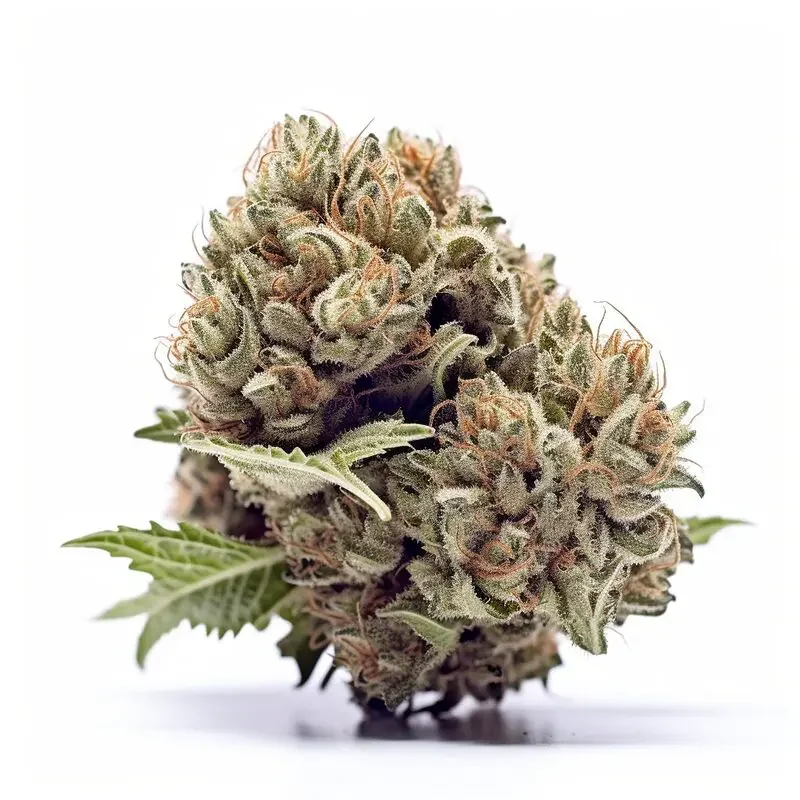 Autoflower