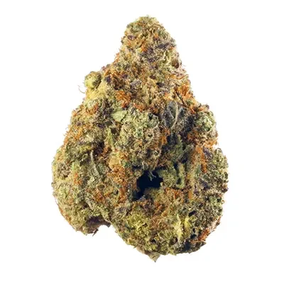 Hindu Kush 2