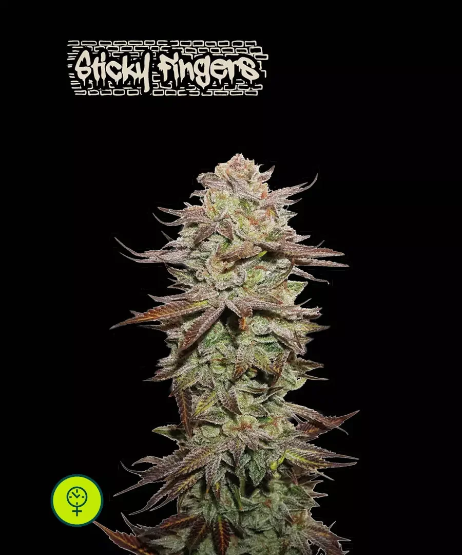Sticky Fingers