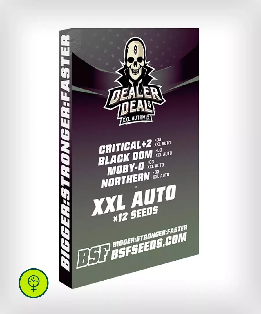 Dealer Deal XXL Automix - 12 sementes