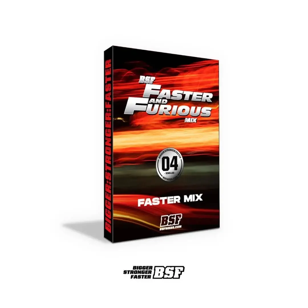 Faster and Furious Mix – Feminizada – BSF