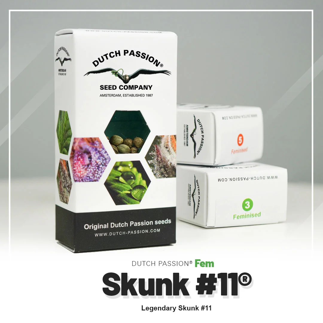 Skunk 11