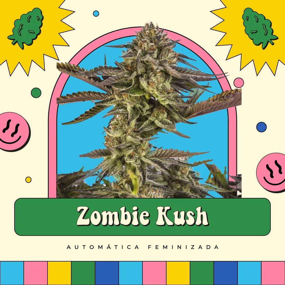Zombie Kush