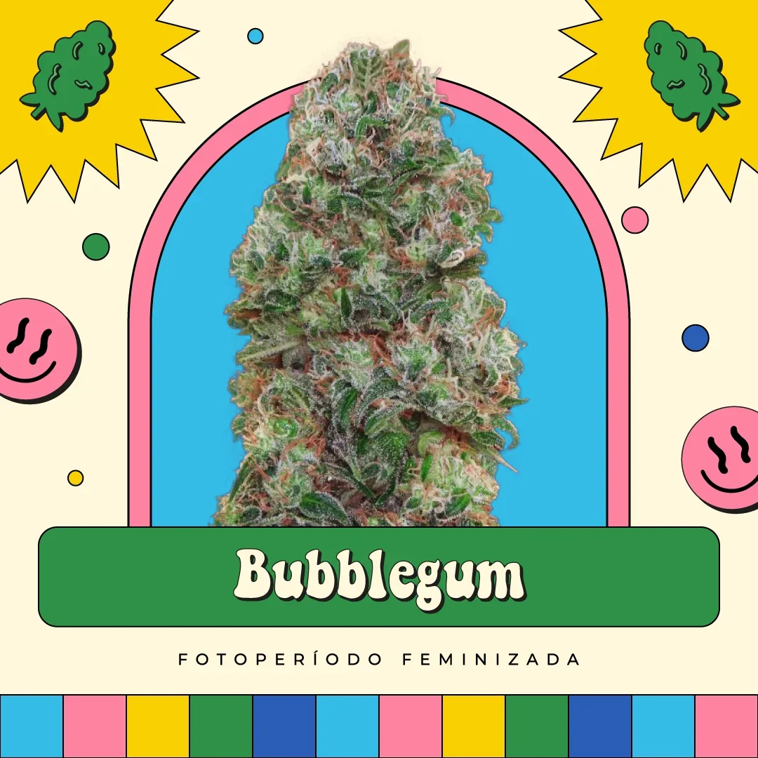 Bubblegum