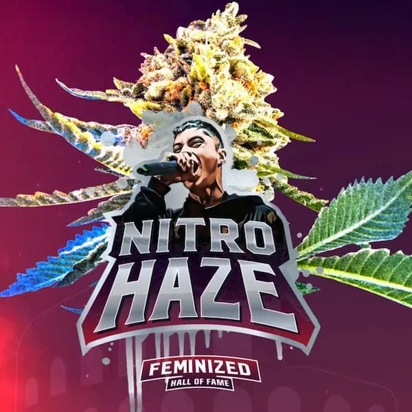 Nitro Haze