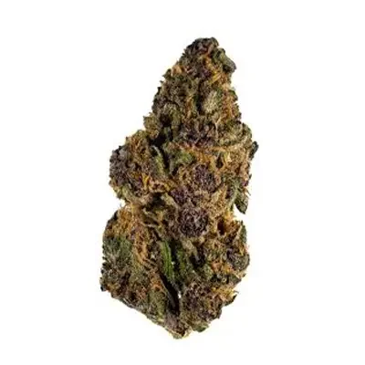 Forbidden Fruit 2