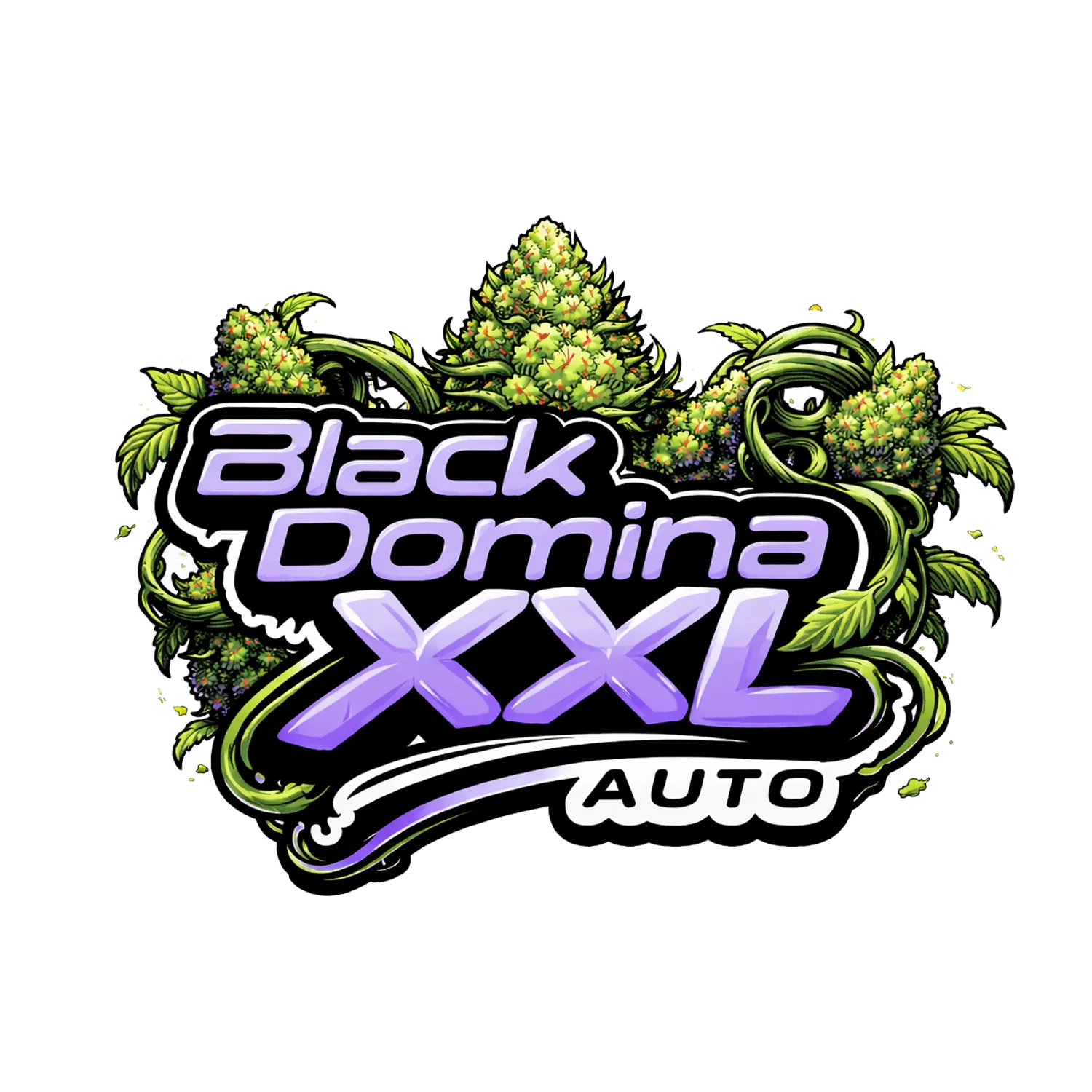 Black Domina