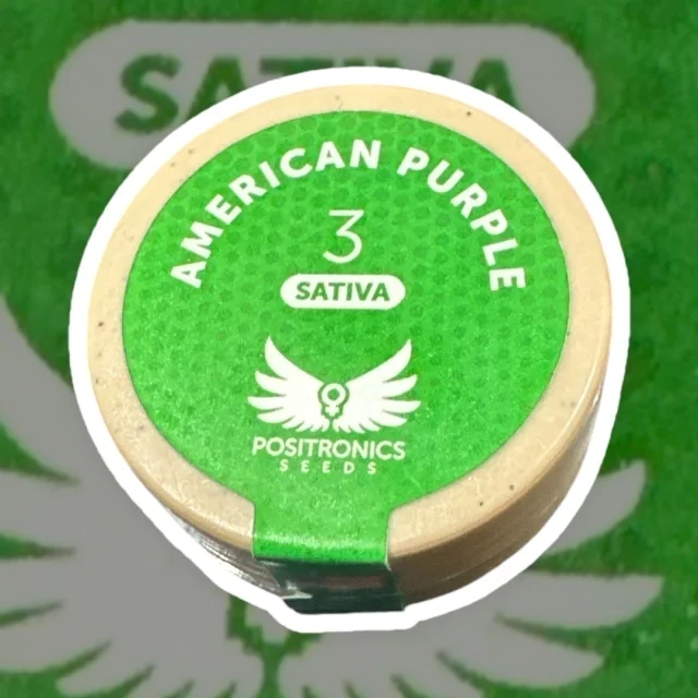 American Purple