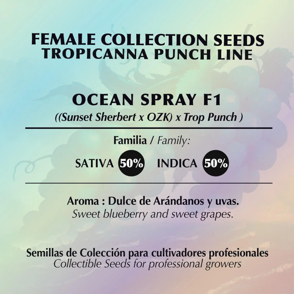 Ocean Spray 2