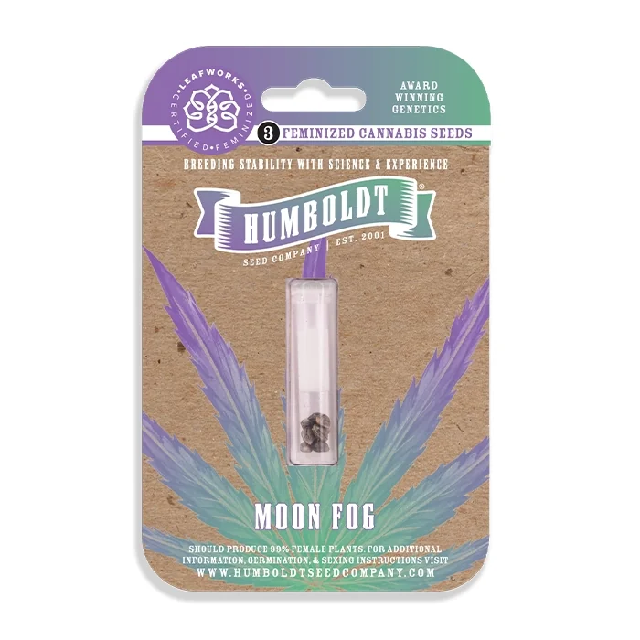 Moon Fog