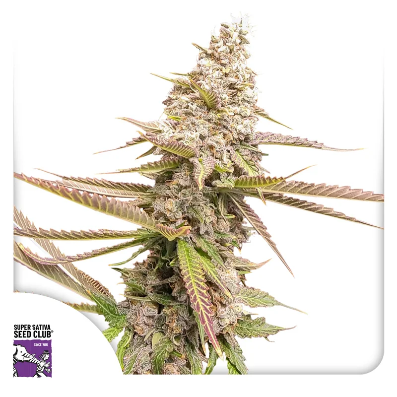 Strawberry Cookies 2
