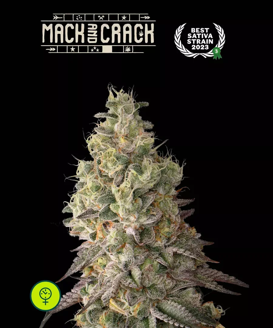 Mack Crack