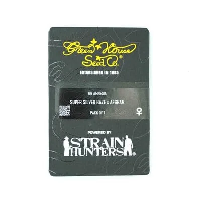 Gh Amnesia