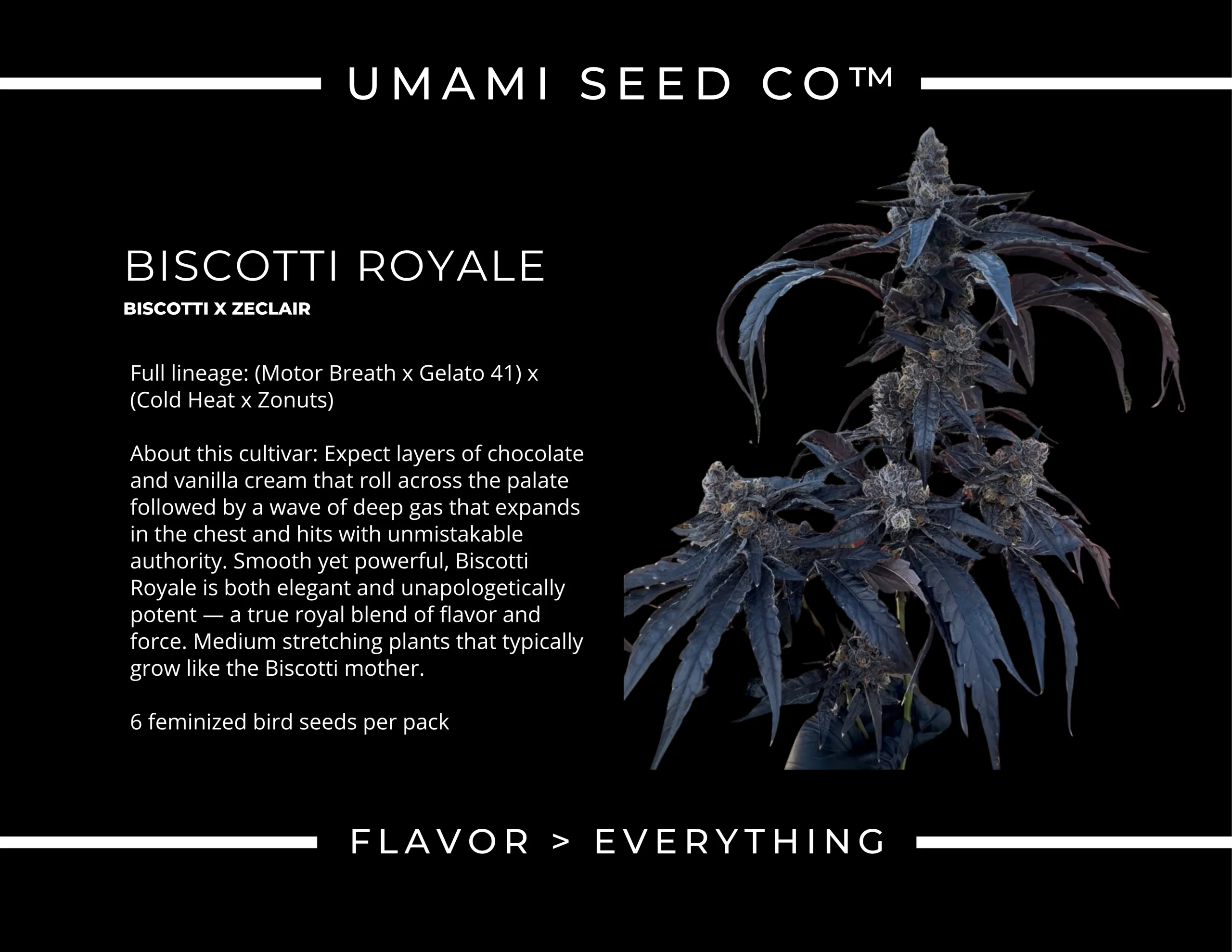 Biscotti Royale 2