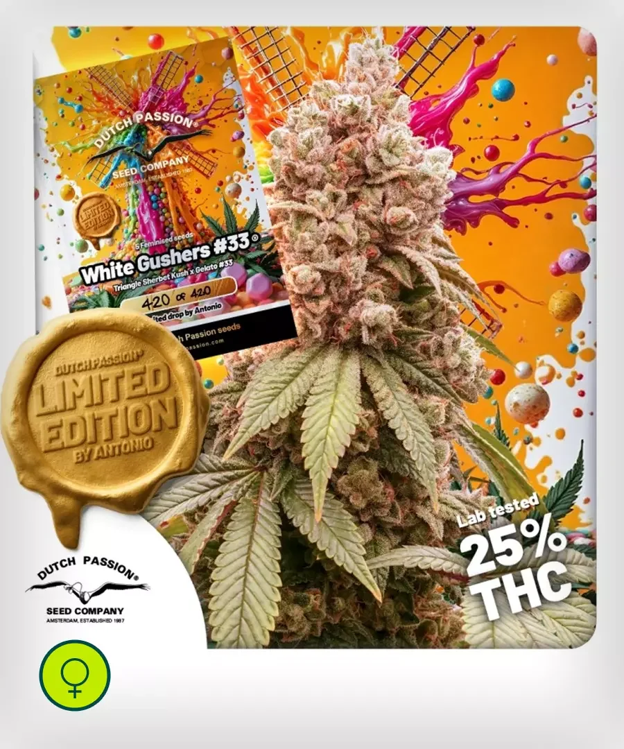 White Gushers 33