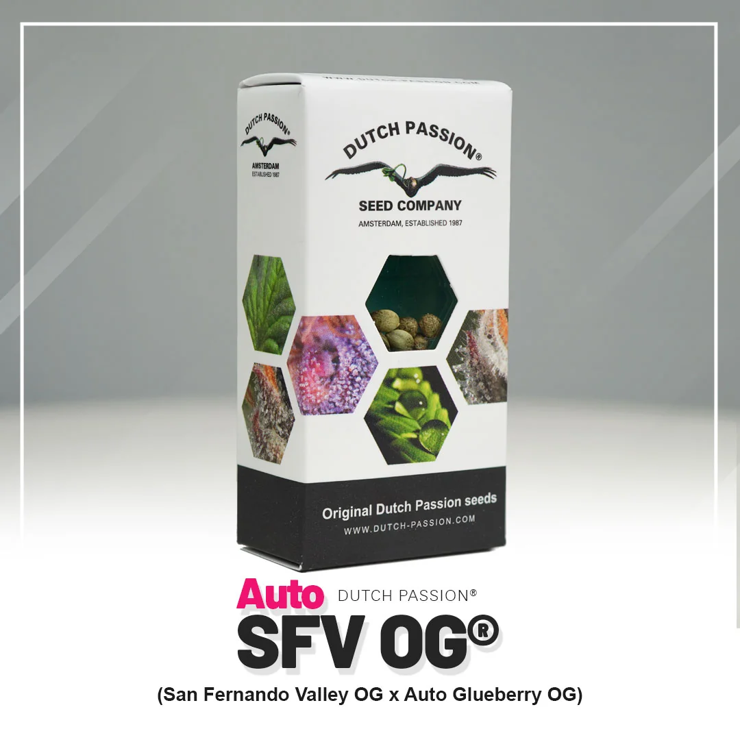 Sfv Og