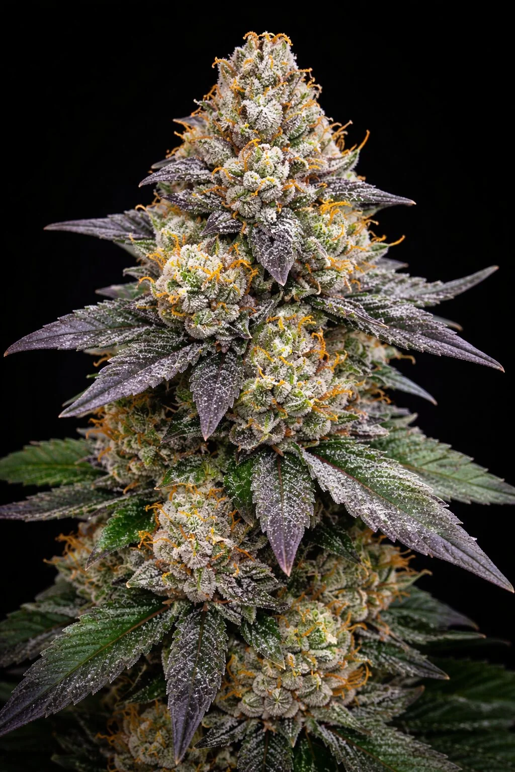 Banana Strawberry