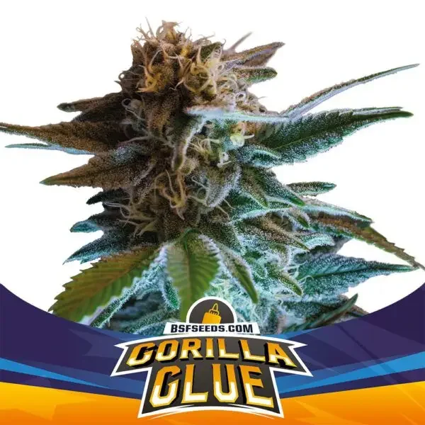 Gorilla Glue 4