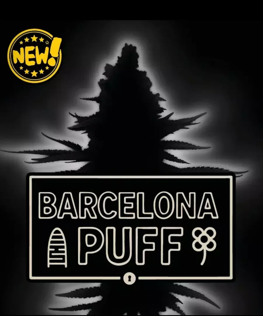 Barcelona Puff