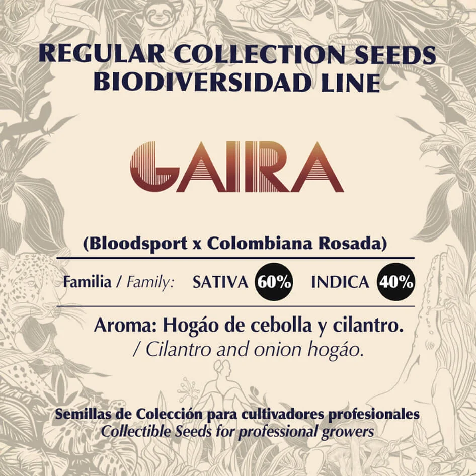 Gaira 2