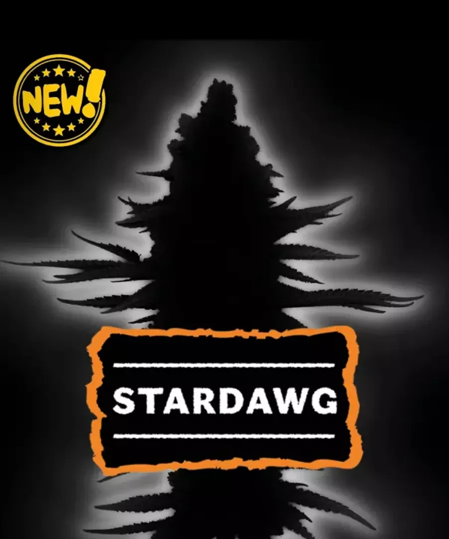 Stardawg