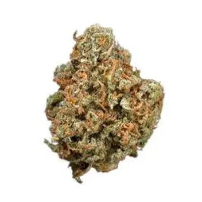 Terp Tonic 5