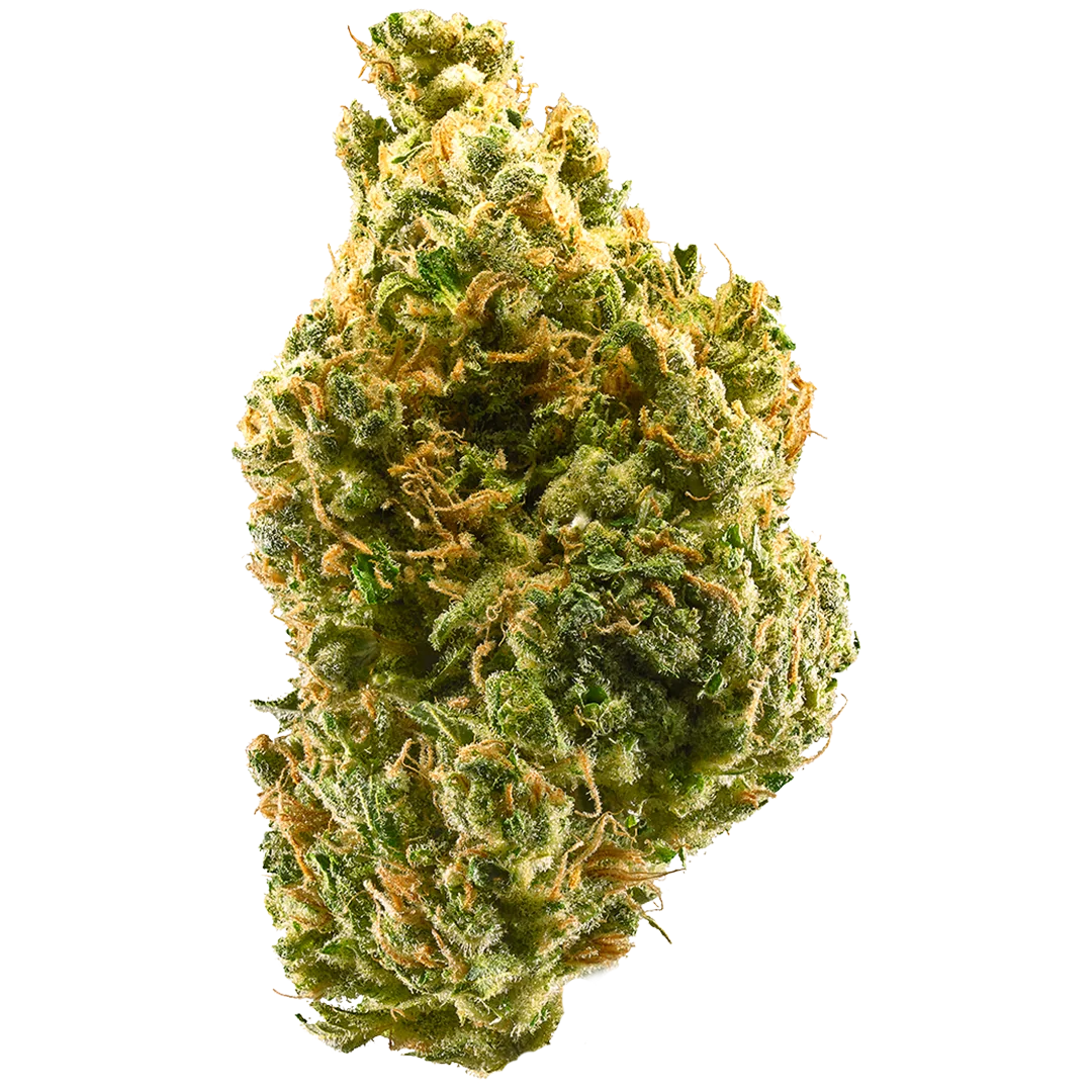 Tangie