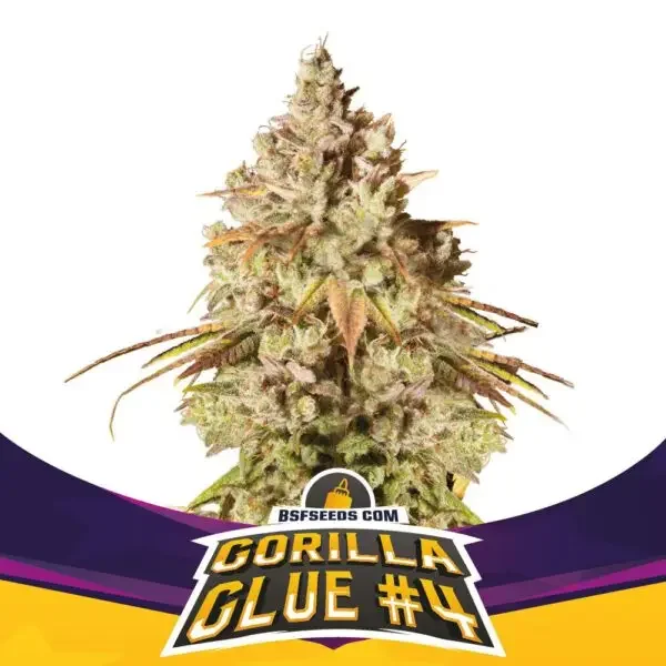 Gorilla Glue 4