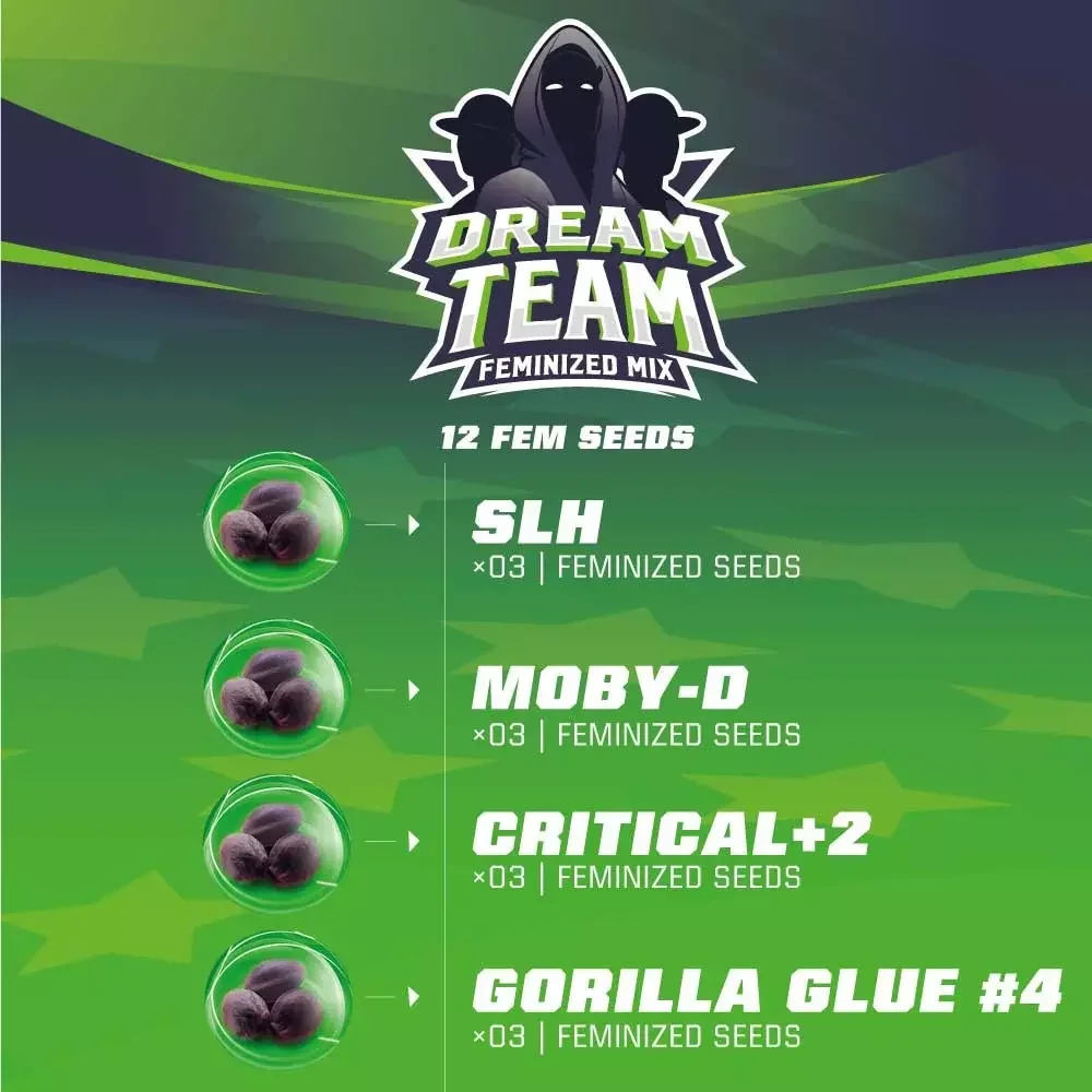 Dream Team Mix 3