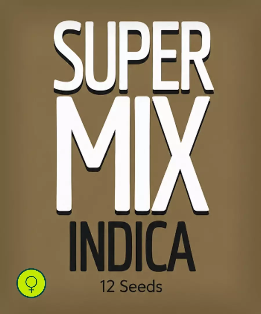 Super MIX Indica - 12 sementes