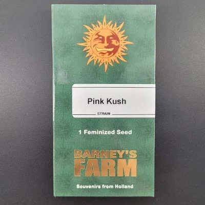 Pink Kush 4