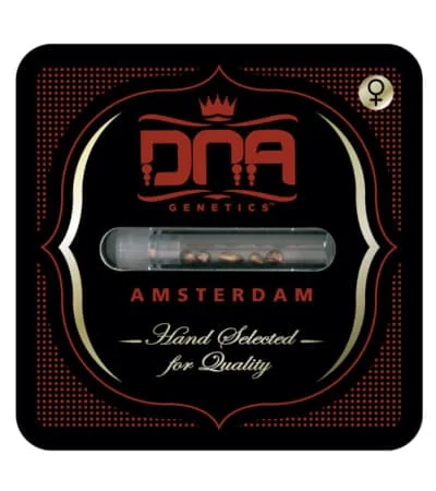 La Confidential 3
