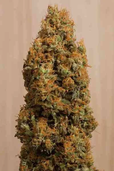 Green Crack Cbd