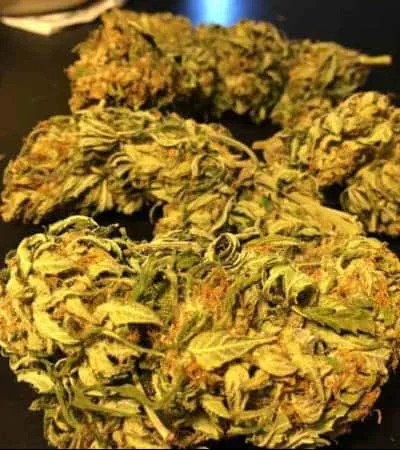 Pineapple Express 4