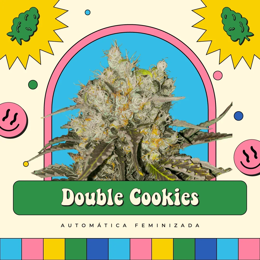 Double Cookies 3