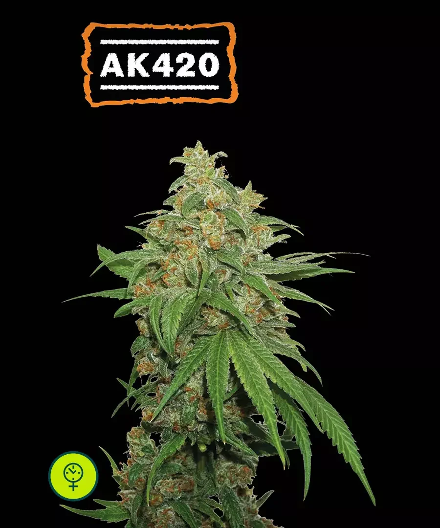 Ak420