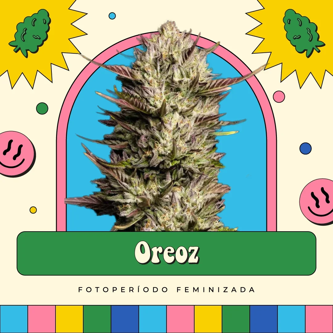 Oreoz
