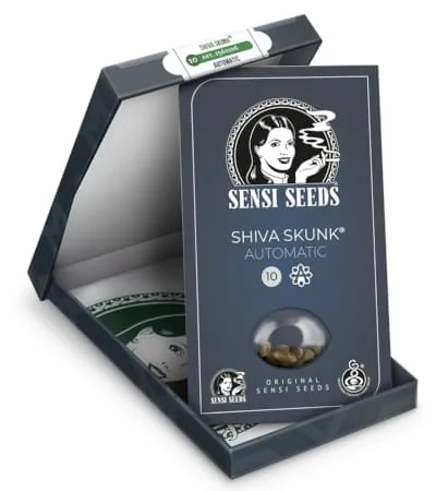 Shiva Skunk 2