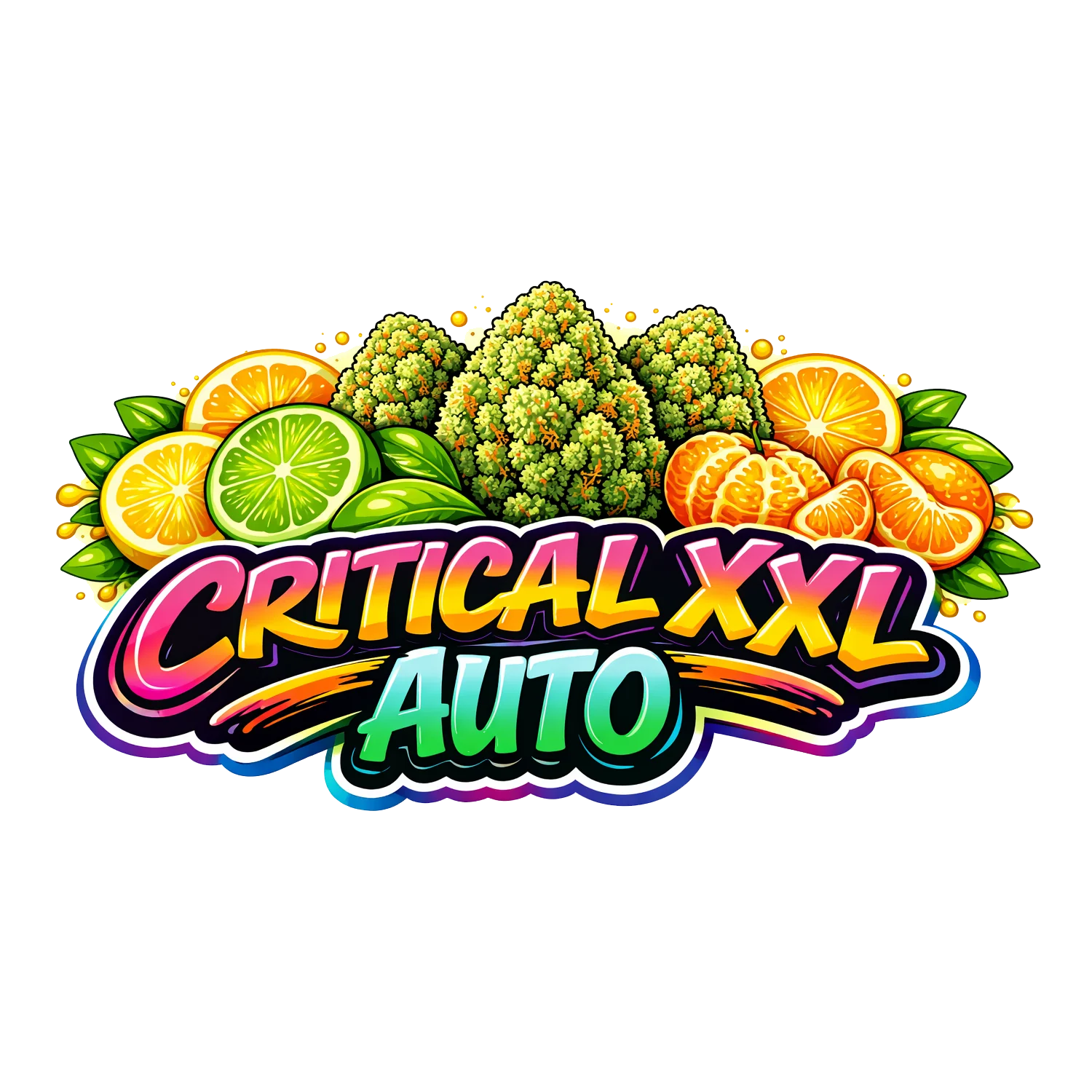 Critical 2 Xxl