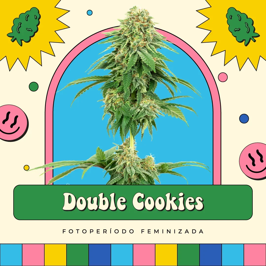 Double Cookies