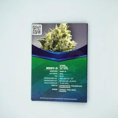 Moby D Xxl 2