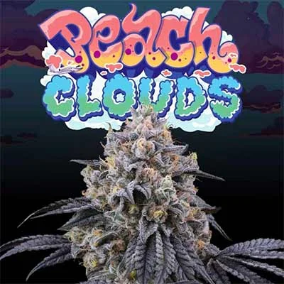 Peach Clouds