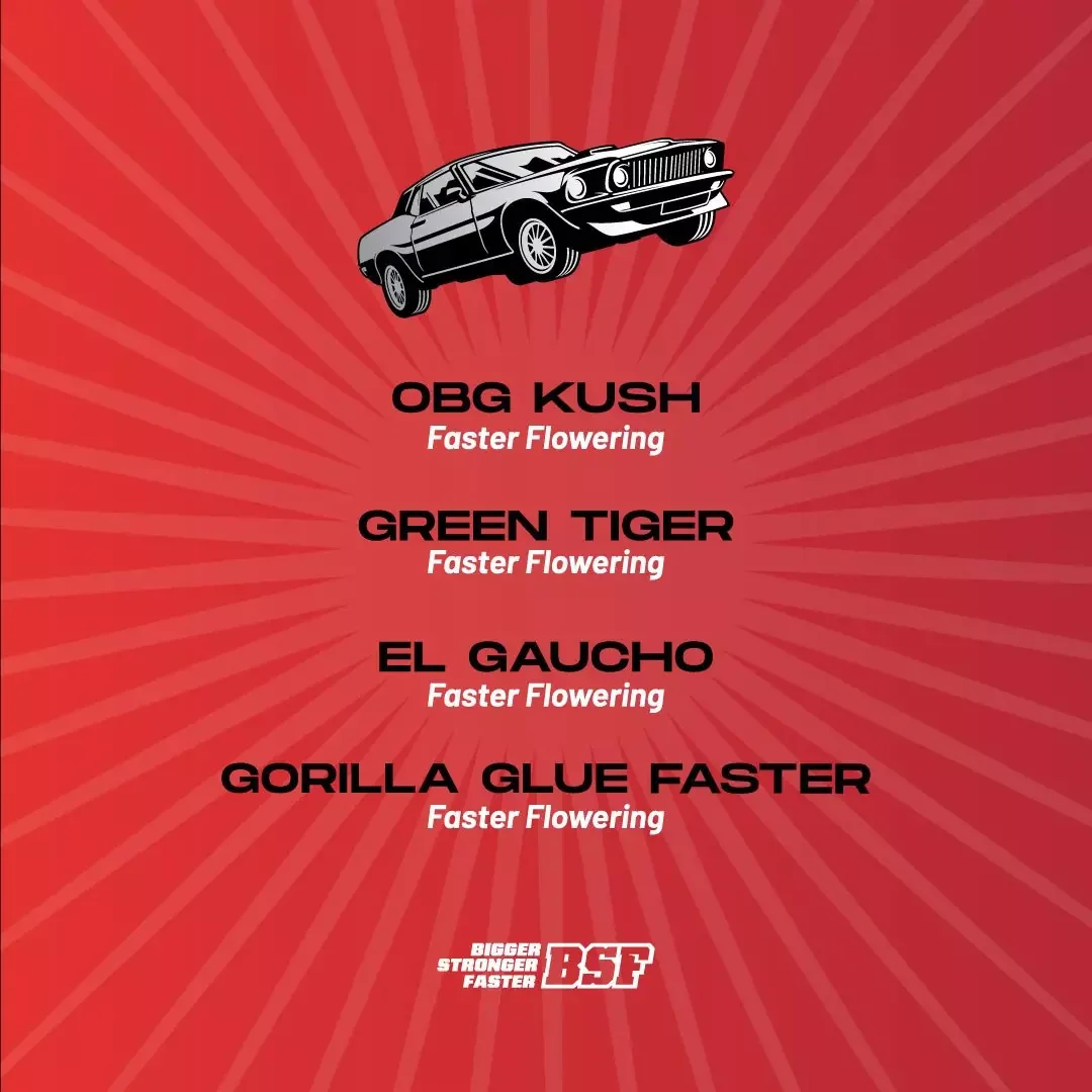 Faster And Furious Faster Mix 3