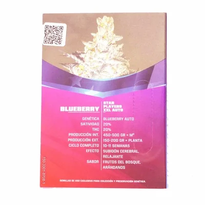 Blueberry Xxl 2