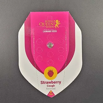 Strawberry Cough 3