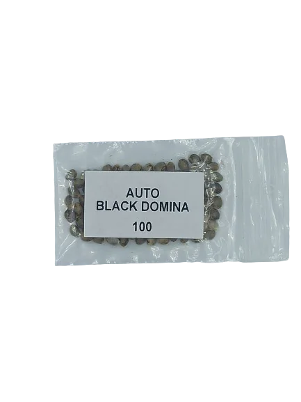 Black Domina 3