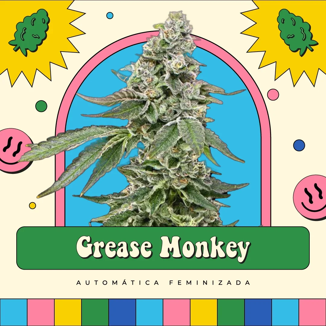 Monkey Grease